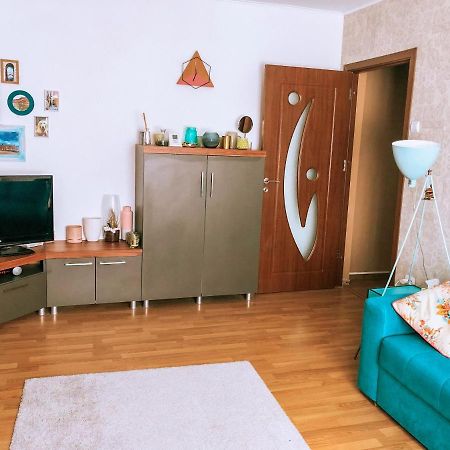 Cozy Apartment Bukovina Suceava Ngoại thất bức ảnh