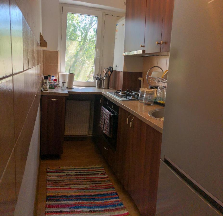 Cozy Apartment Bukovina Suceava Ngoại thất bức ảnh